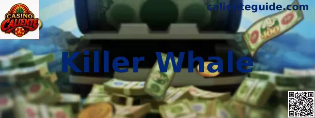 Imagen central de Killer Whale en Casino Caliente